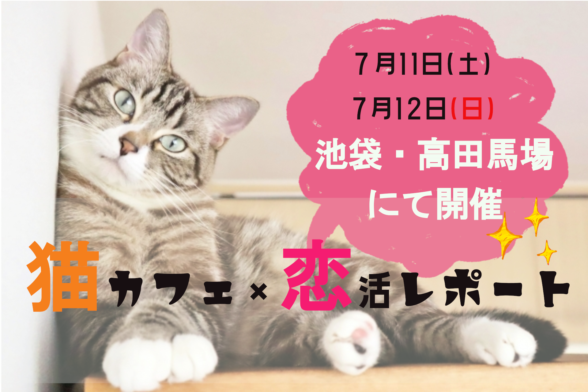 ７月11（土）７月12日（日）高田馬場・池袋で開催🐱猫カフェ×恋活コン💓のサムネイル