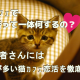 猫カフェで婚活って一体何するの？初心者さんには謎が多い猫カフェ婚活を徹底解明！