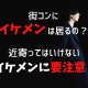 街コン・婚活パーティーにイケメンは居るの？近寄ってはいけないイケメンに要注意！